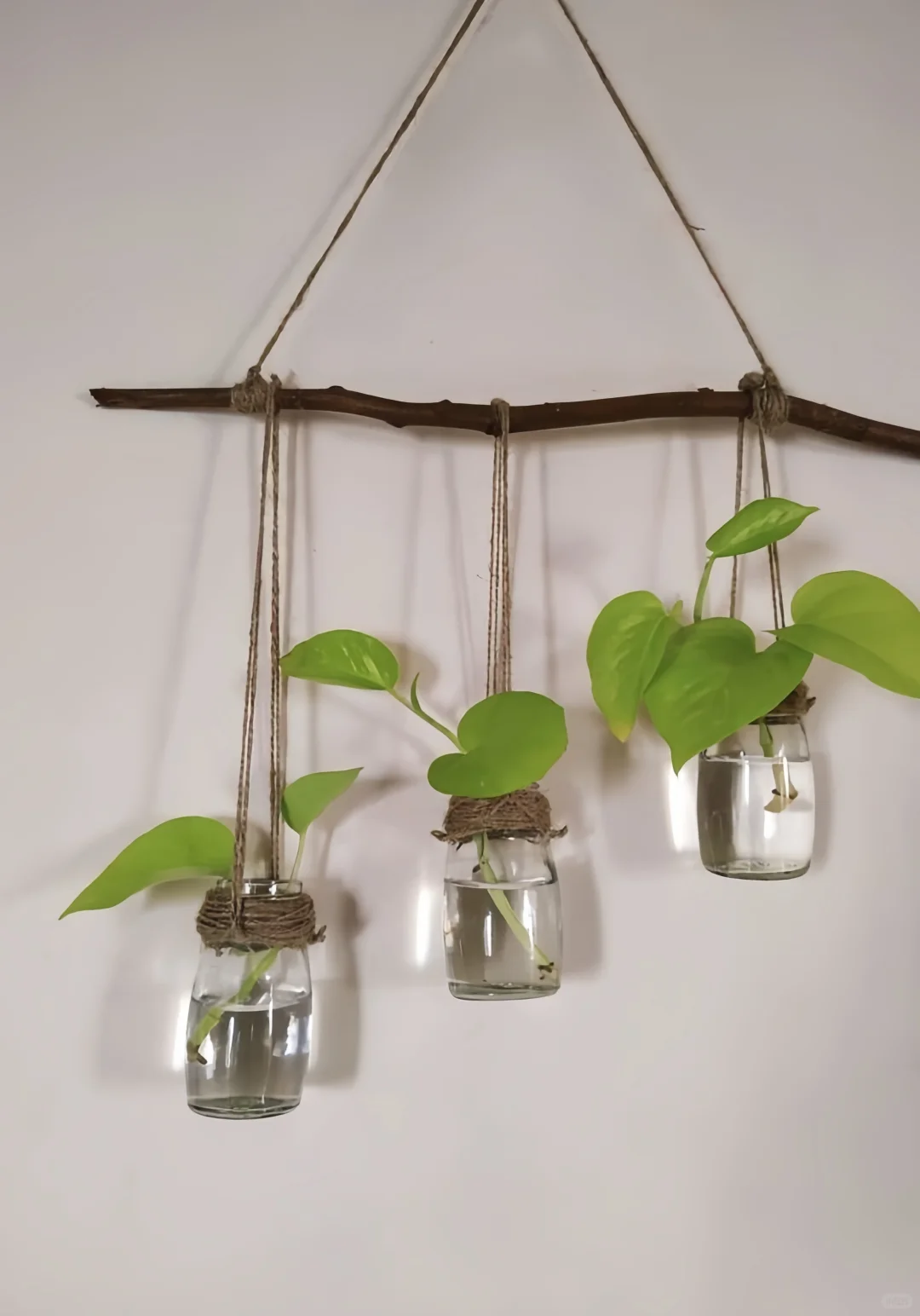 创意手工｜环创｜发现了用树枝DIY的美～