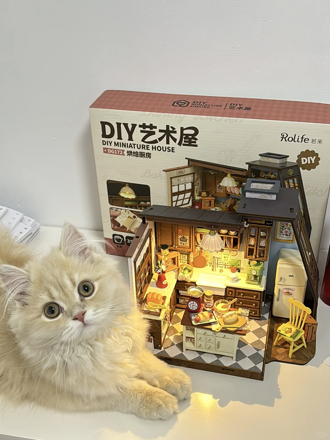 这么精致的小房子谁不爱啊？