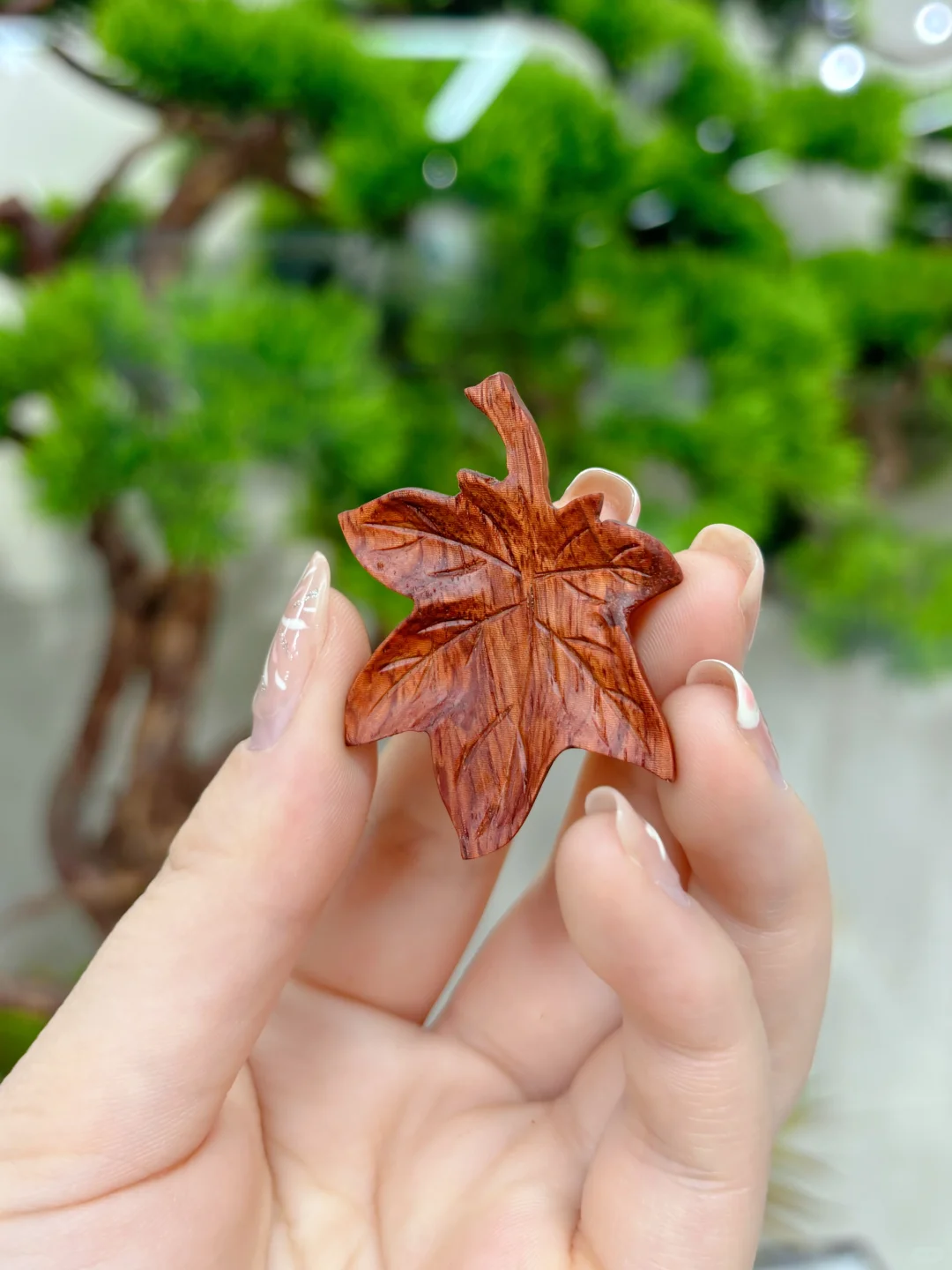 今年的枫叶好像不够红，那就赏你一丈红吧！