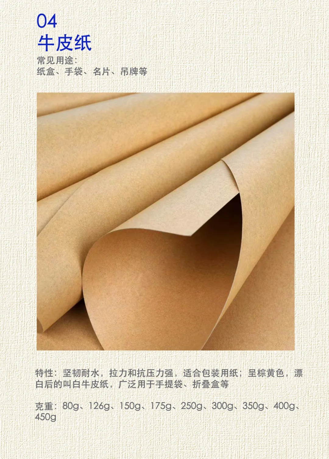 干货！24年纸张企业分享纸张知识设计师必备