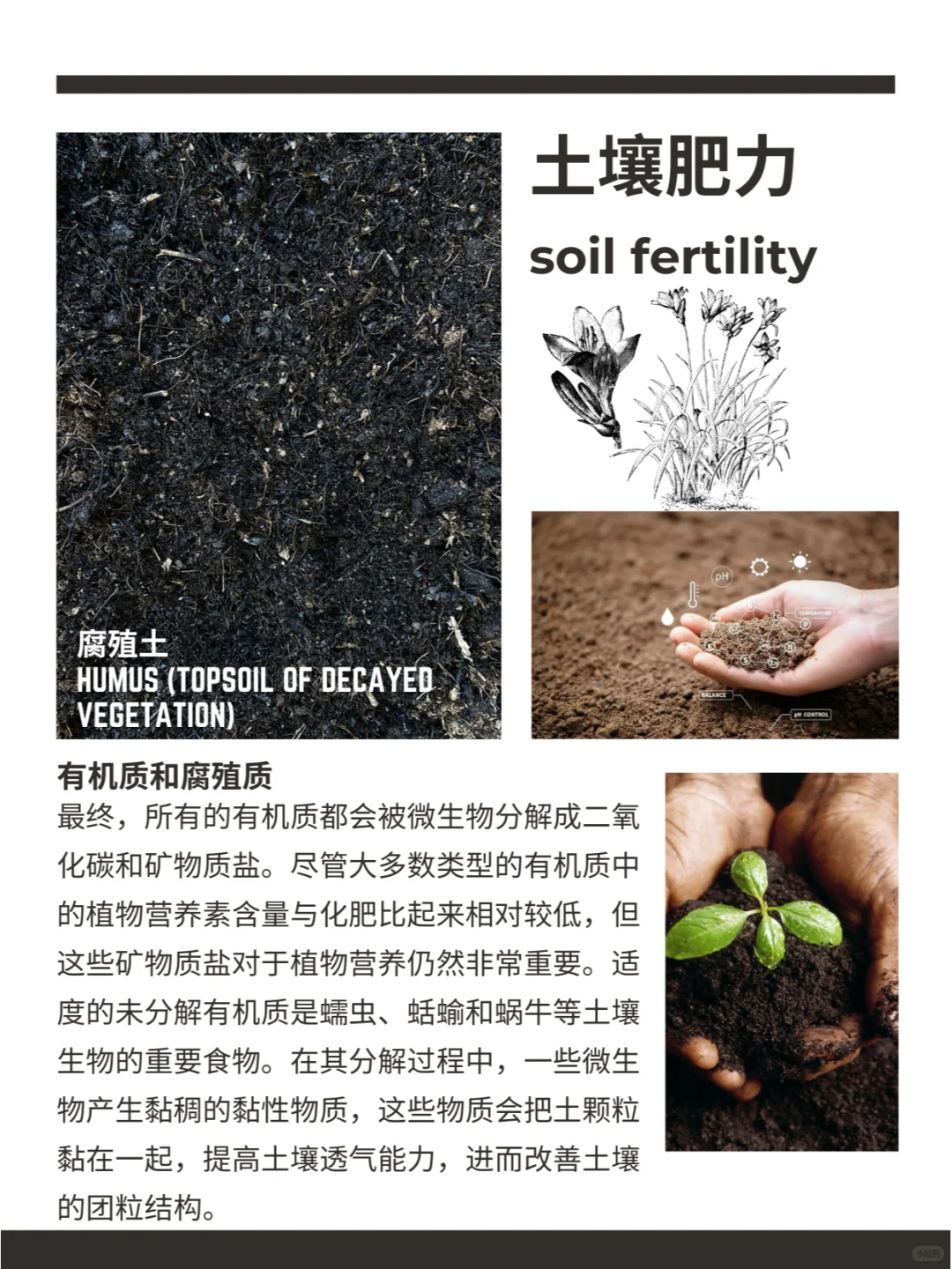 土壤肥力