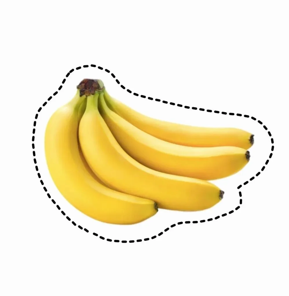 水果认知图片玩具｜可打印 手工剪纸素材