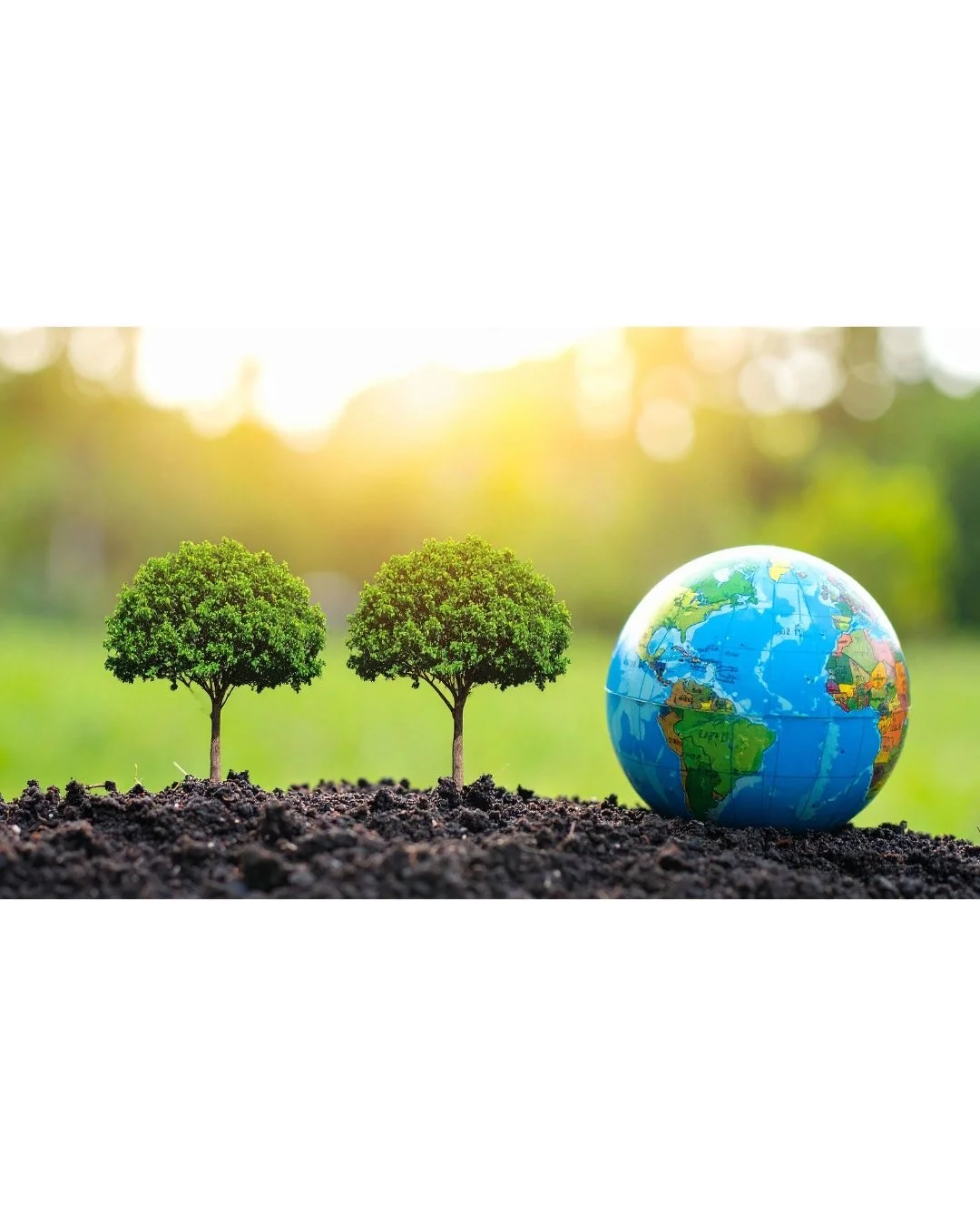 创新印刷技术，成就完美品质