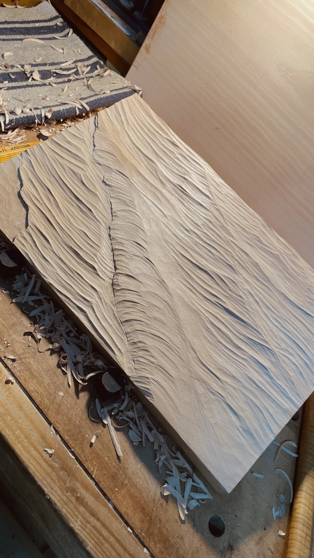 我知道自己的局限 但依旧创造着我的生活