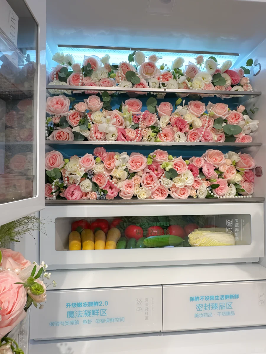 打卡格力董明珠健康家，家成健康能量场