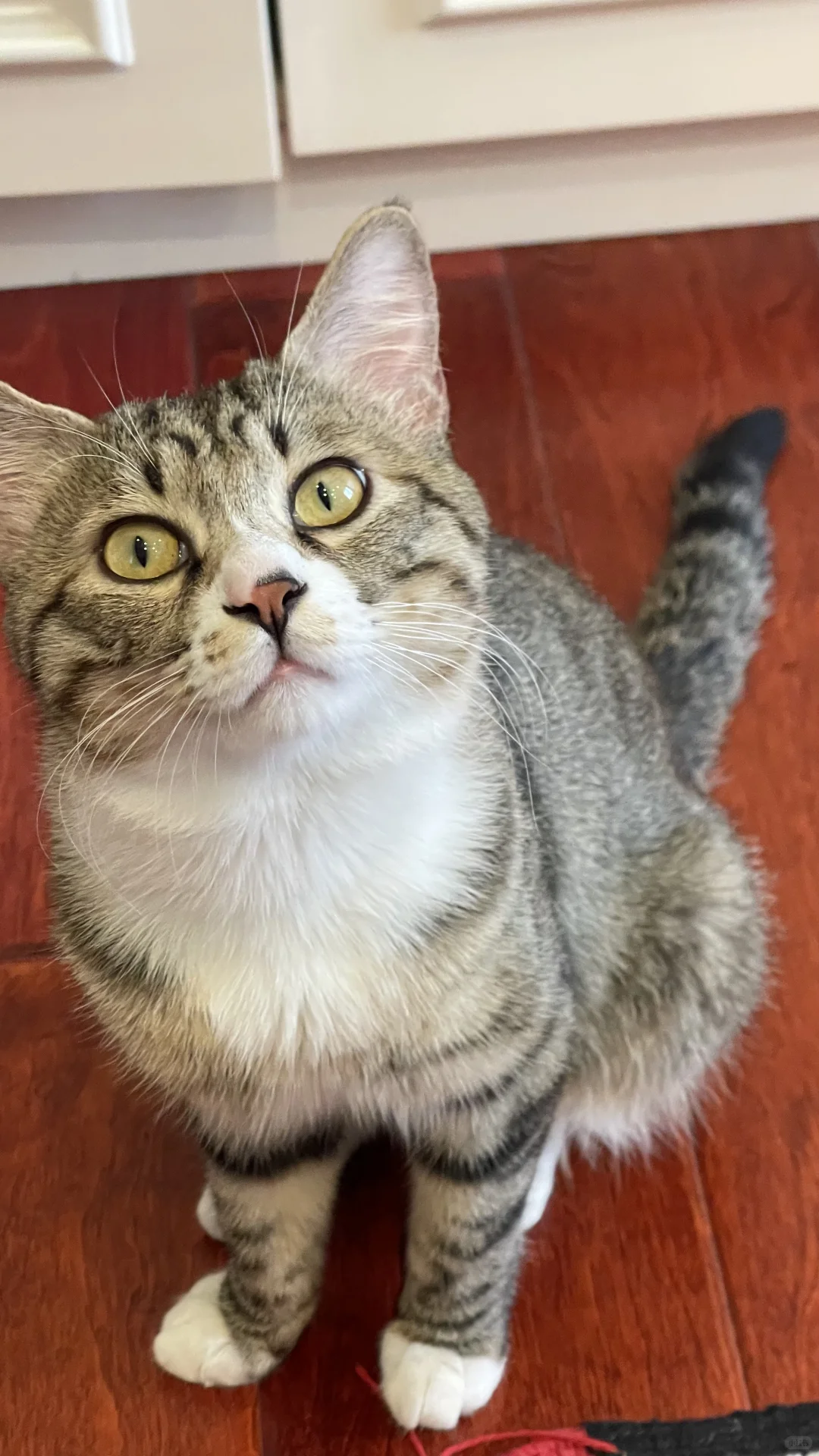 昨天看钱姐帖子的！今天玻璃爆赚啊啊啊啊！