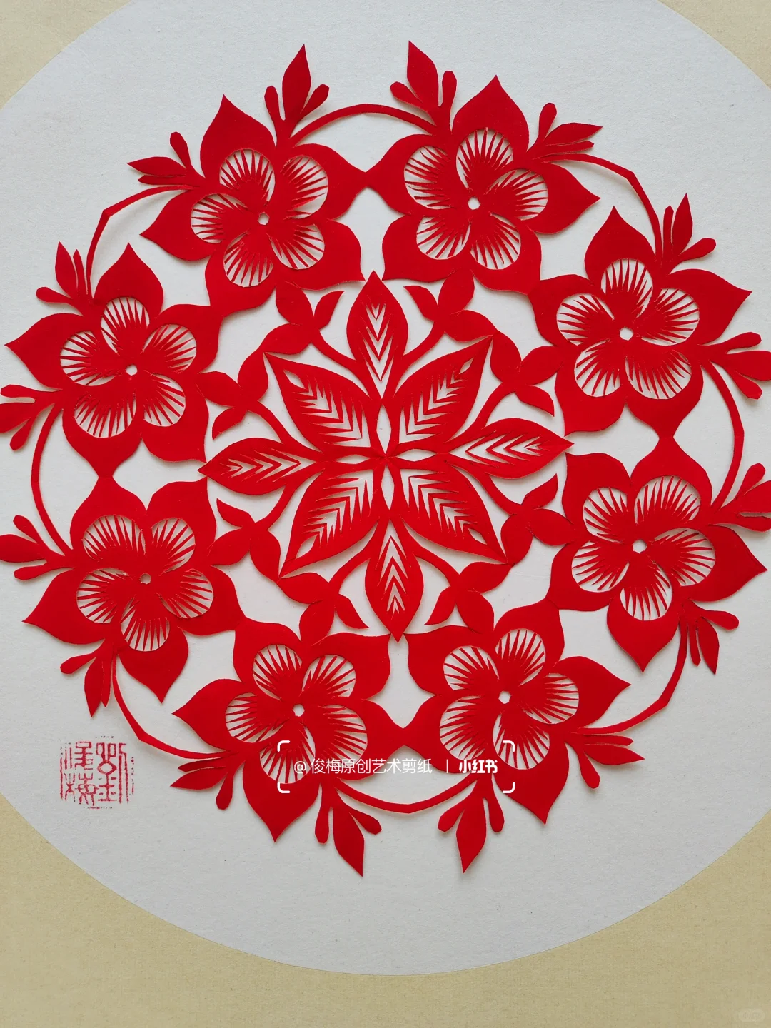 每日一剪｜万代兰