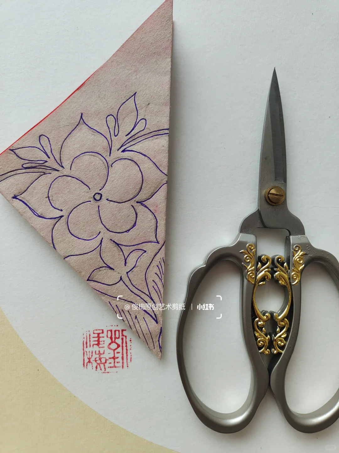 每日一剪｜万代兰