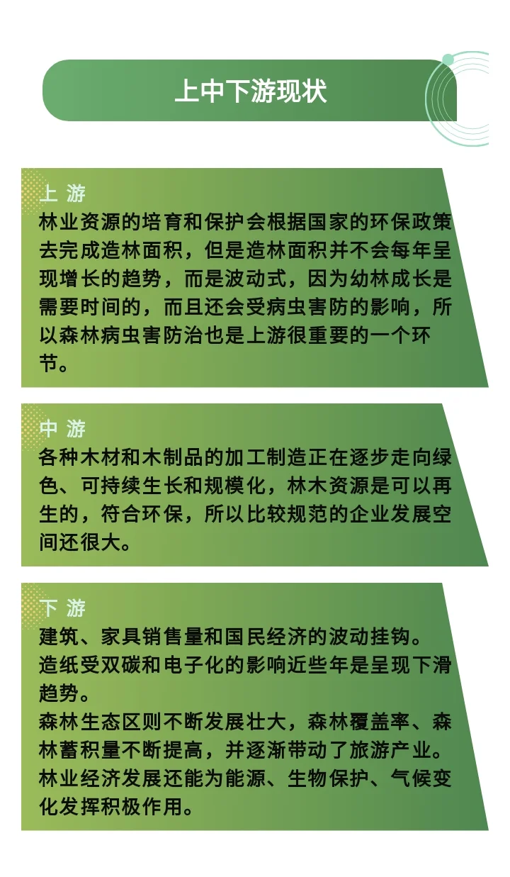 林业（产业链、现状、智能化、多元化）