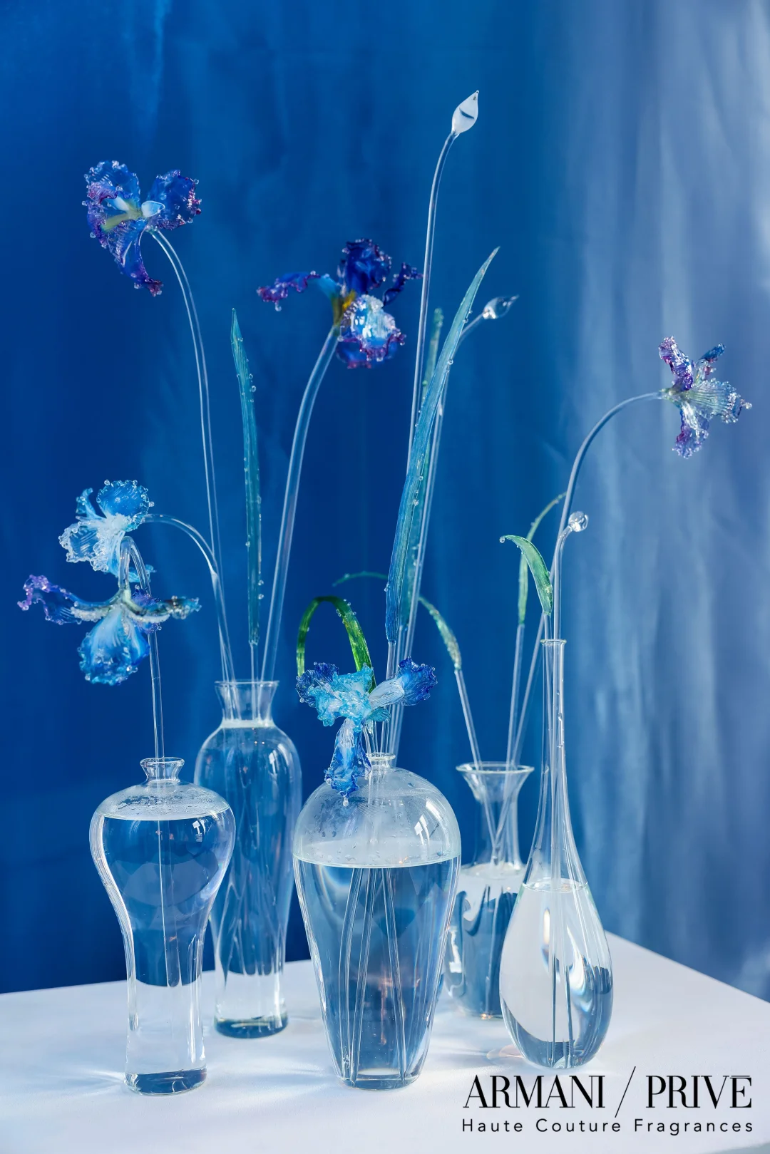 为ARMANI做的蓝鸢 |玻璃艺术