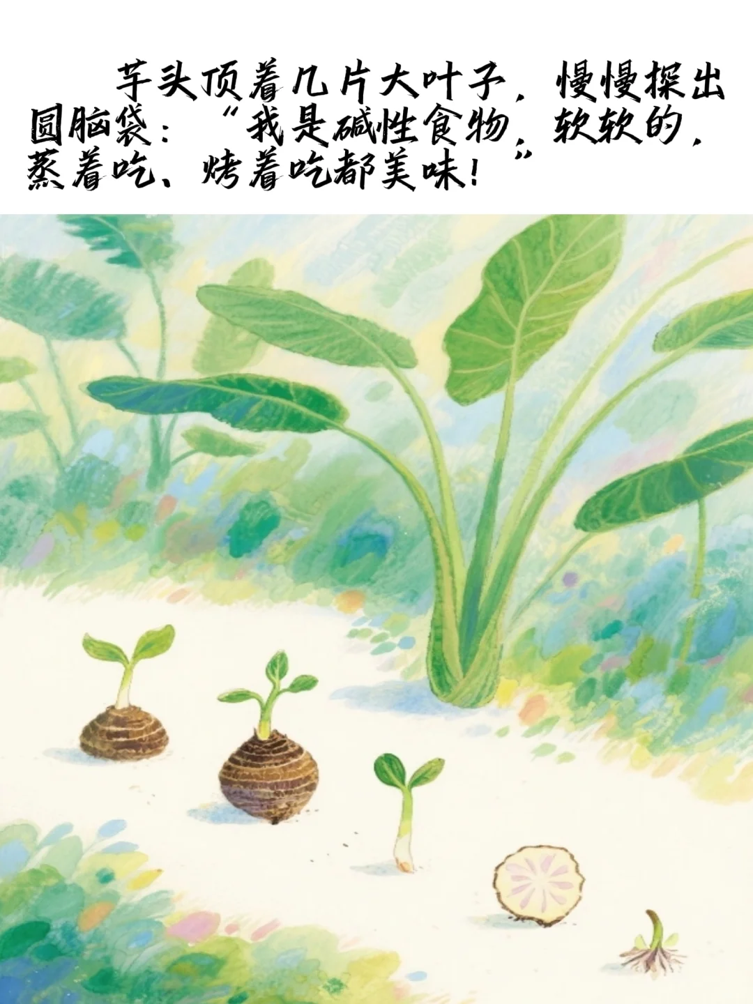 儿童原创绘本故事?《秋天的果实》