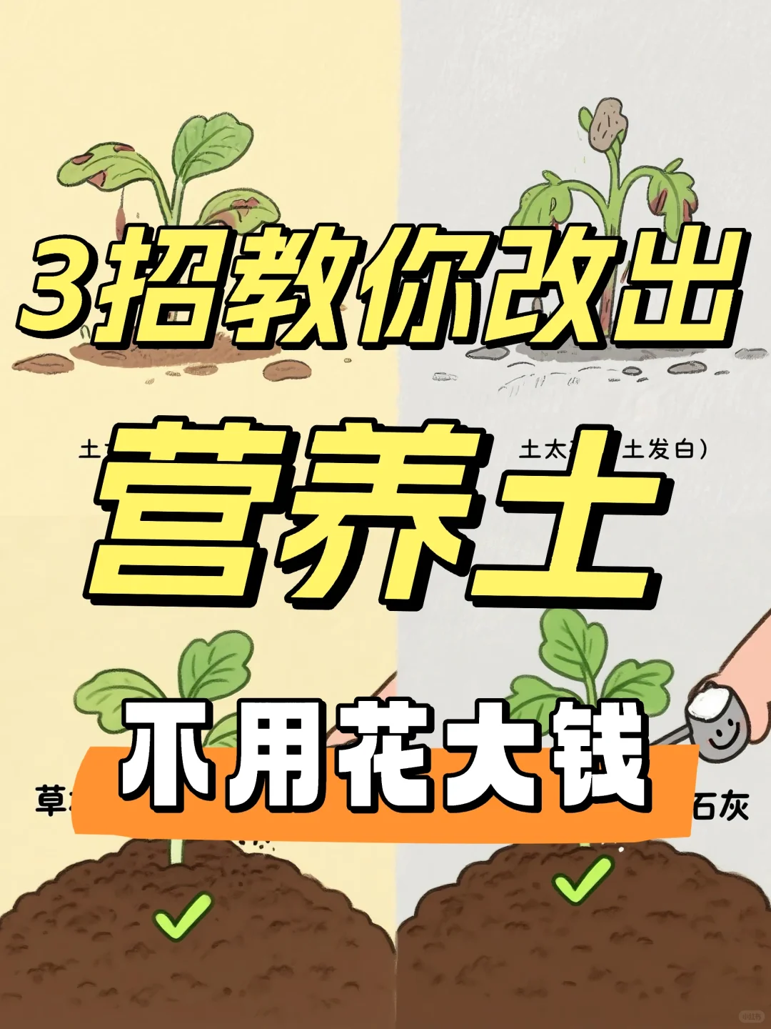 三招教你改土（小白易上手，建议收藏）