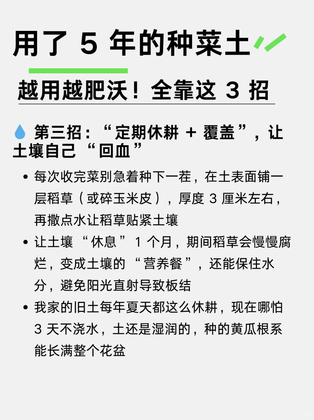 用了五年的种菜土，怎么越用越肥沃！