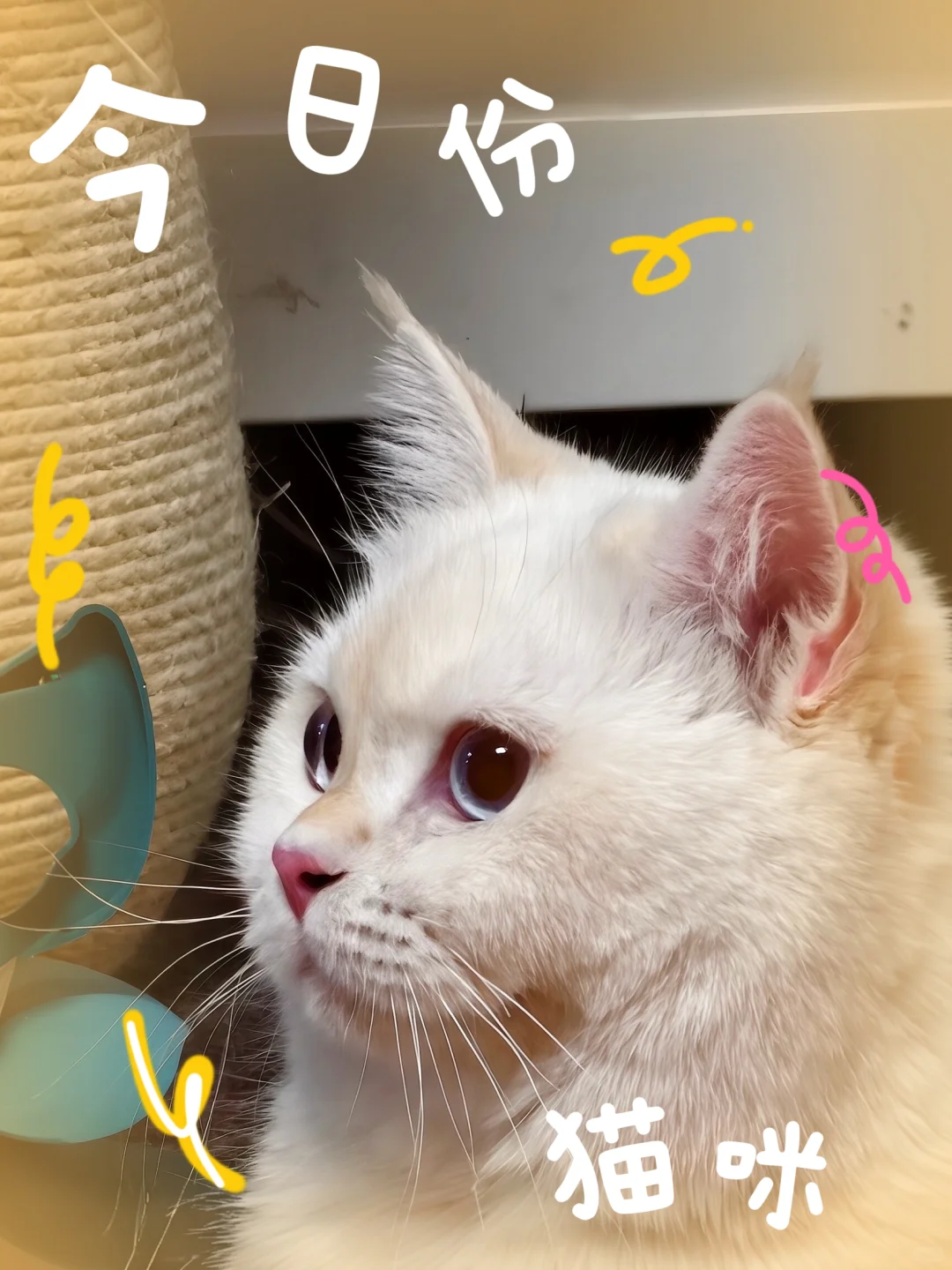 我的电子小垃圾用上啦