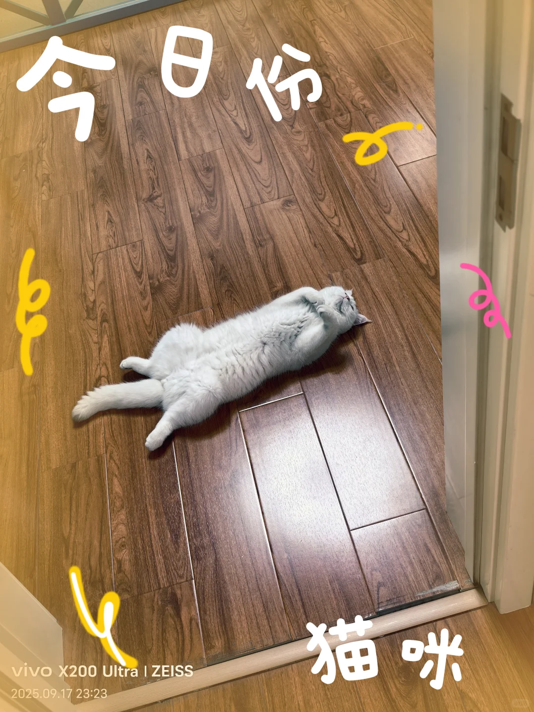 我的电子小垃圾用上啦