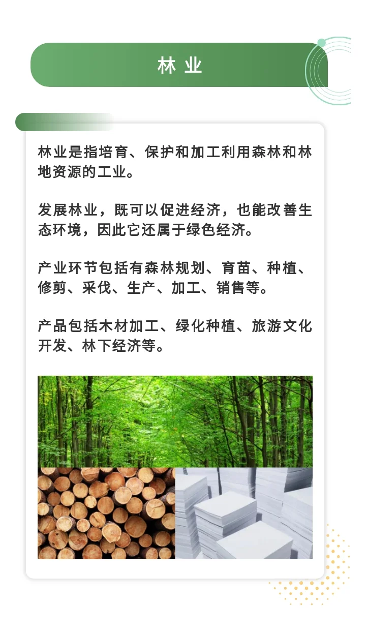 林业（产业链、现状、智能化、多元化）