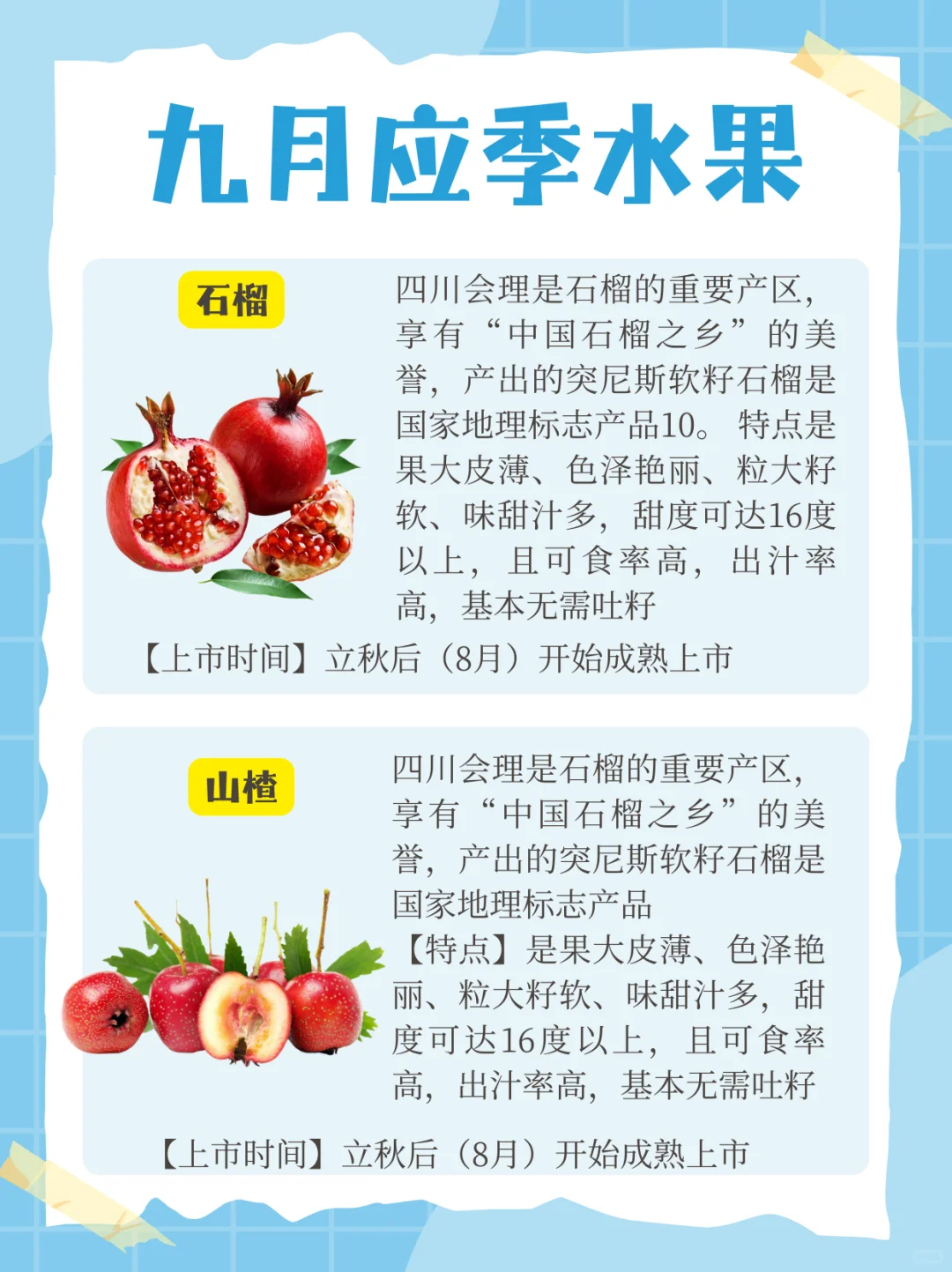 九月应季水果?来啦！