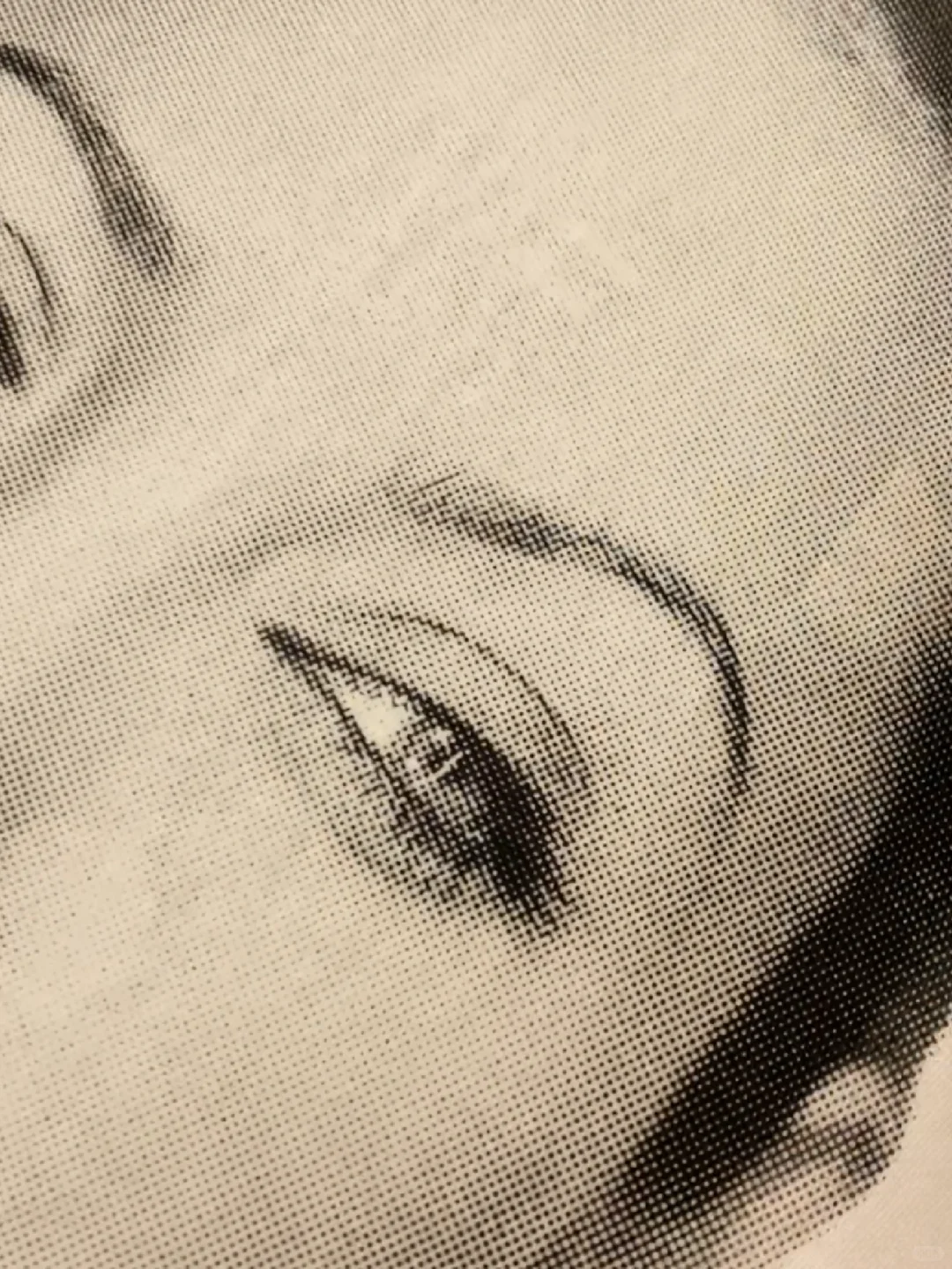 安吉丽娜朱莉 丝网印