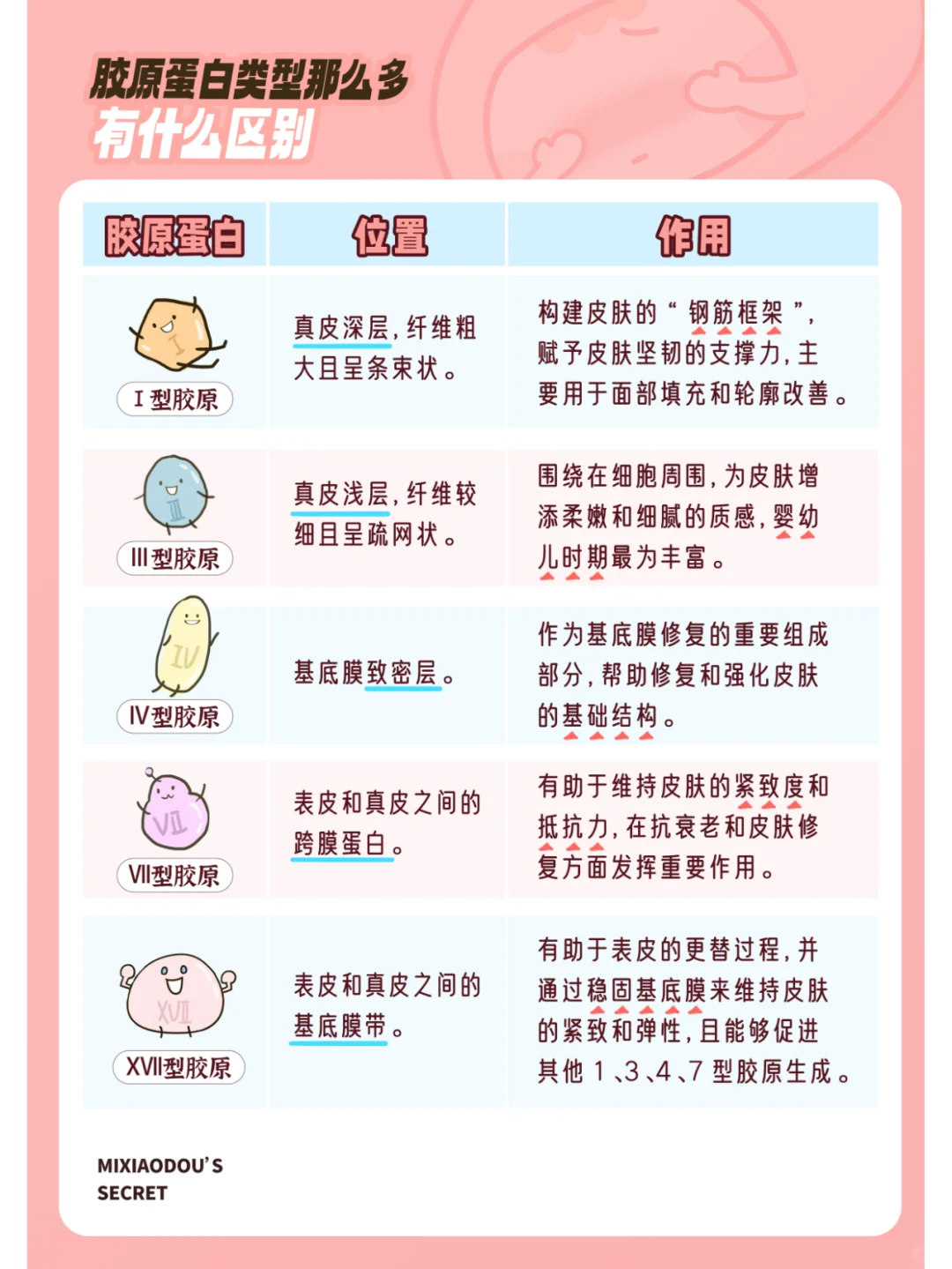 胶原蛋白类型那么多，有什么区别？