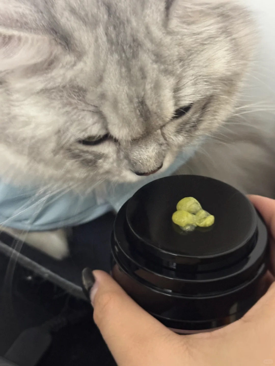 28天护肤打卡|胶原蛋白真的回来了!