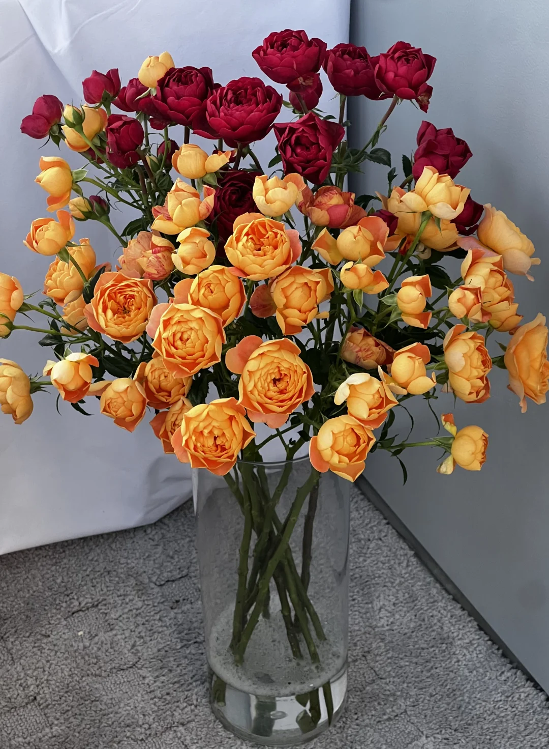 植艺的混色果汁