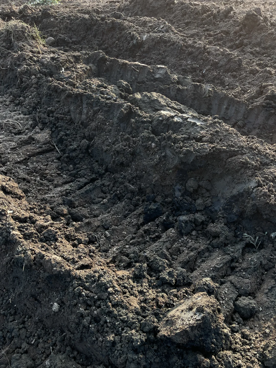 百分百甘蔗渣腐殖土