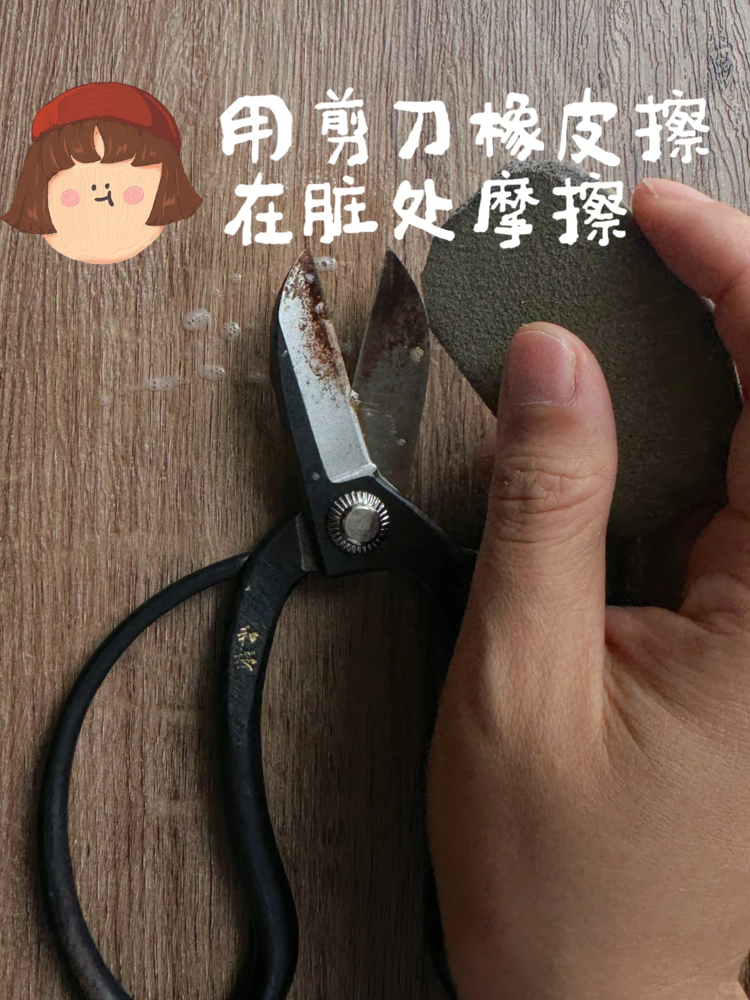 插花必备!拯救你的黑剪刀!