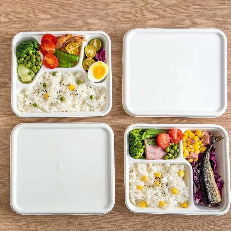 【解密】纸浆模塑与造纸的异同,你知道吗1