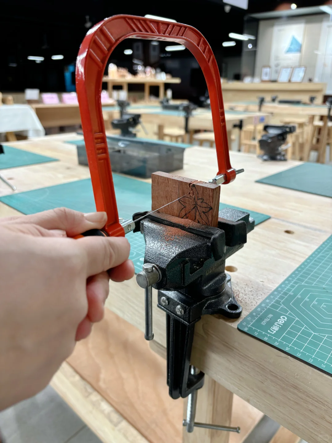 今年的枫叶好像不够红，那就赏你一丈红吧！