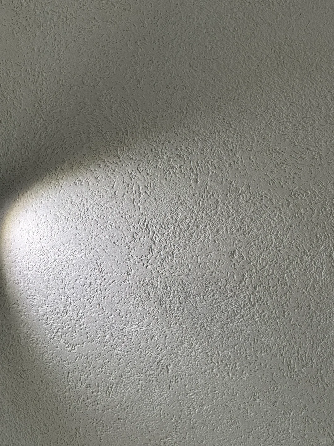 江浙沪的回南天，灰泥扛住了