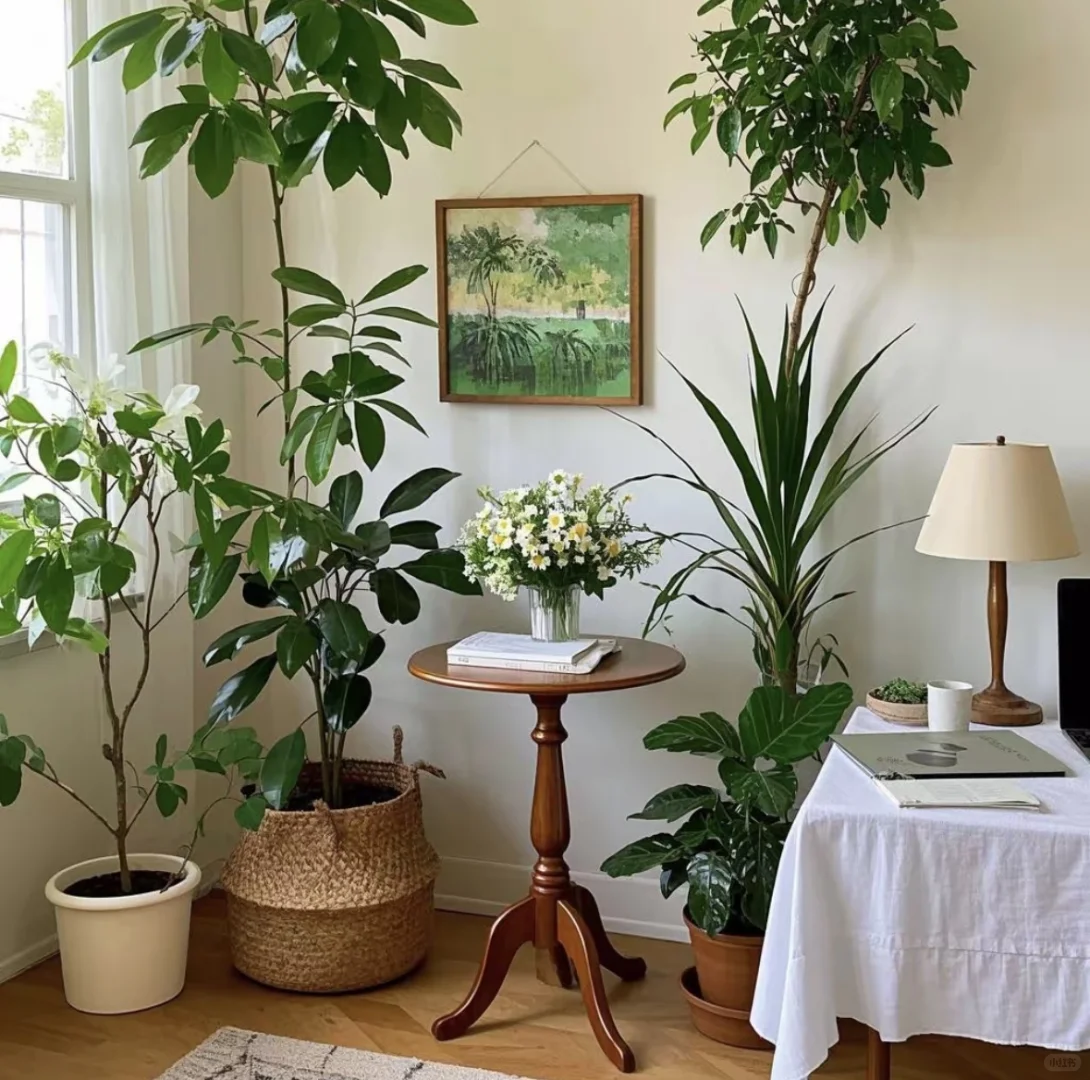 被中式美学美翻了?