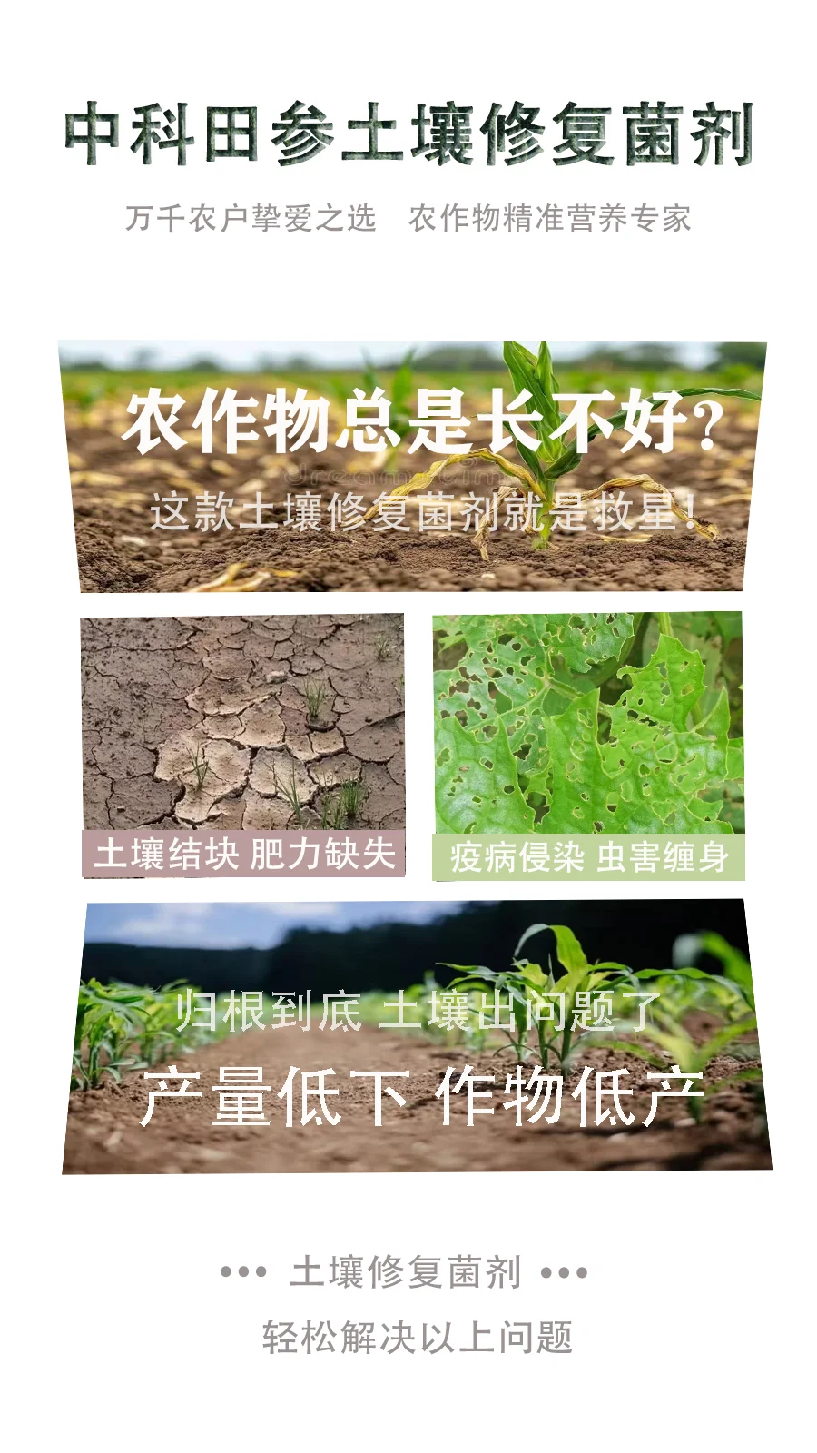 中科田参加土壤修复菌剂——为土壤“焕活新生