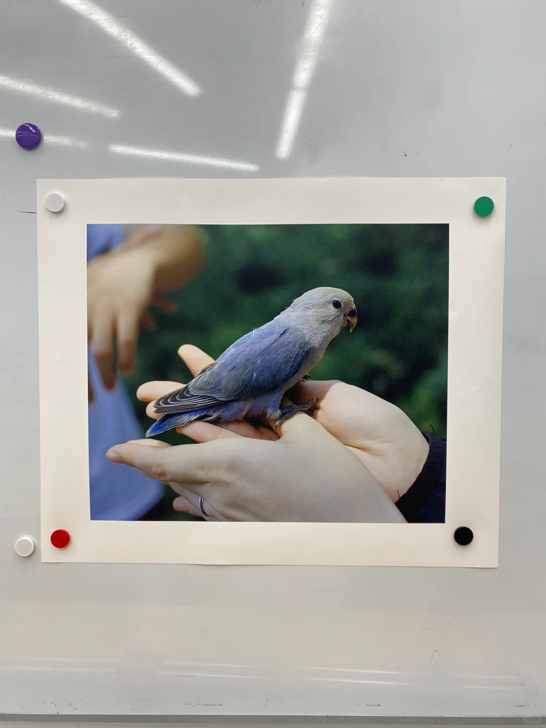 学校的喷墨印刷yyds