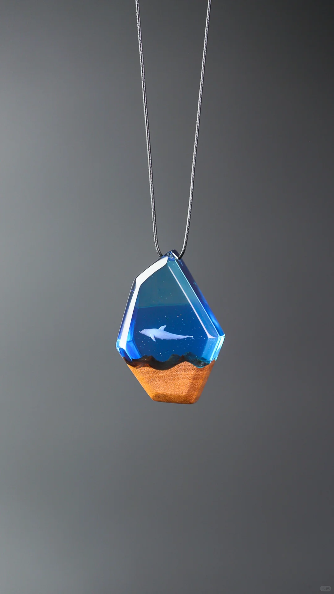 海洋之石封存一只海豚