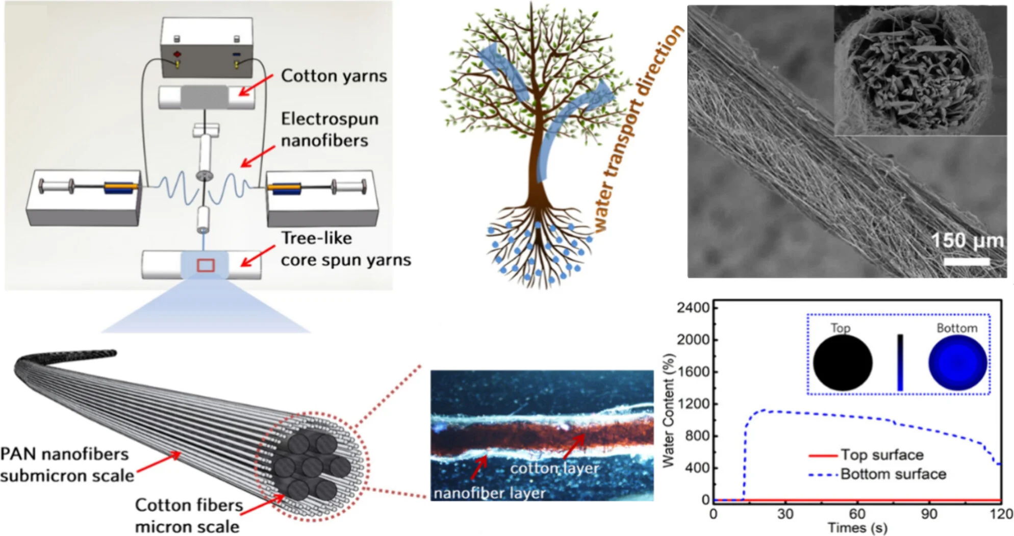 纳米纺丝融合加捻技术，赋能未来智能纺织品