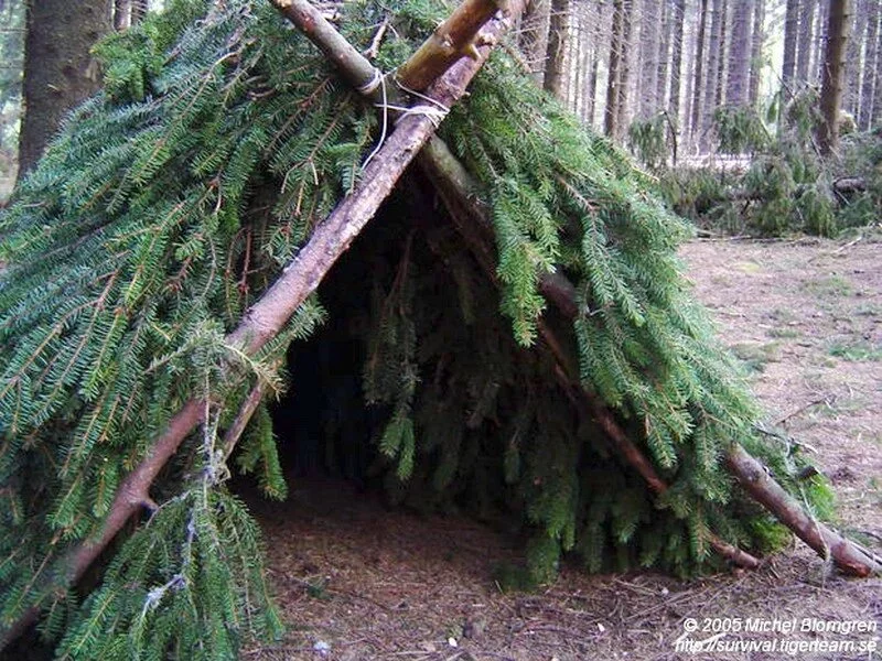 野外生存庇护所