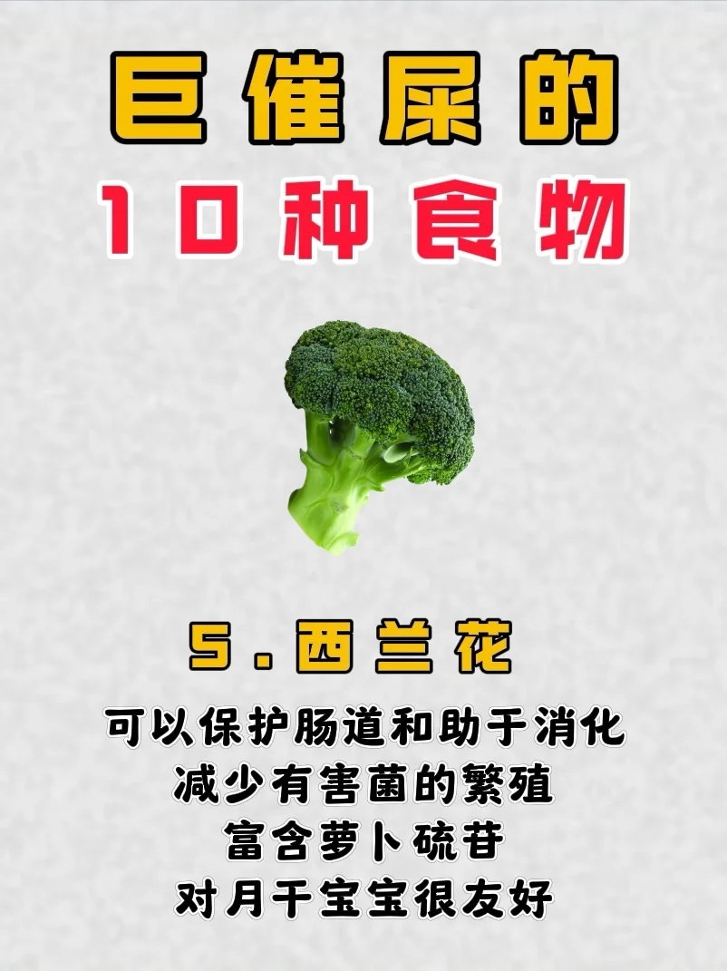 巨崔屎的10种食物，总有一款适合你