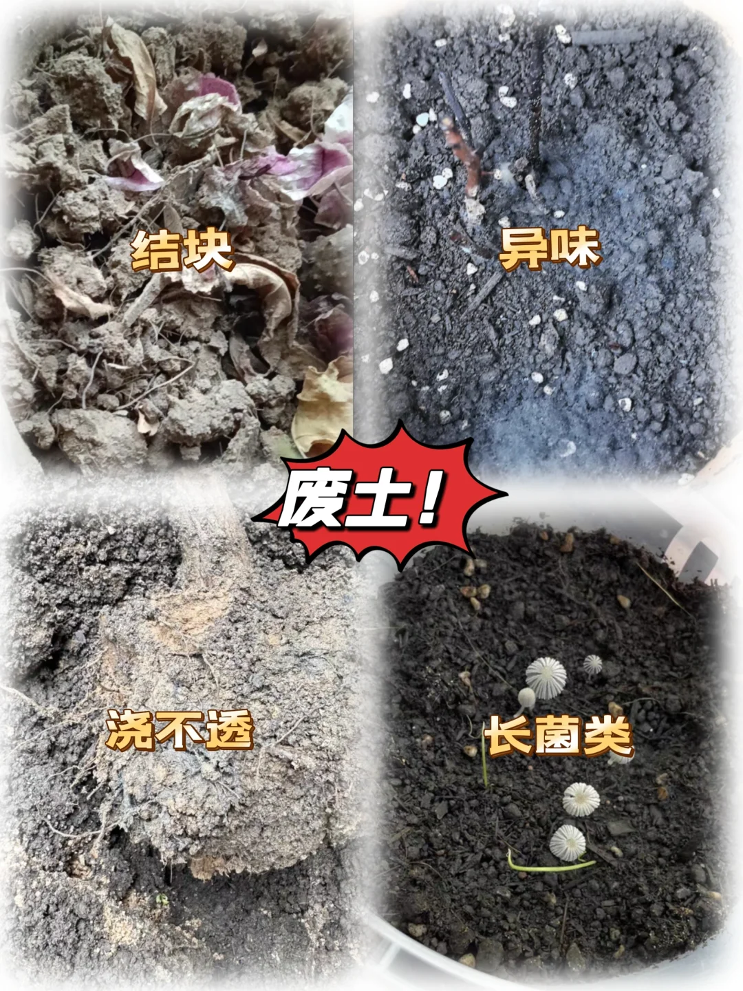 工业废土｜营养土？傻傻分不清