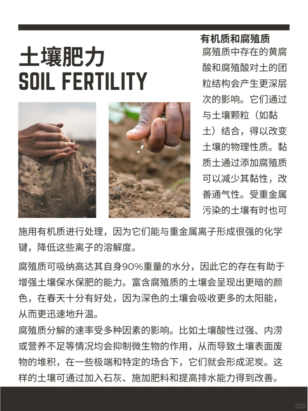 土壤肥力