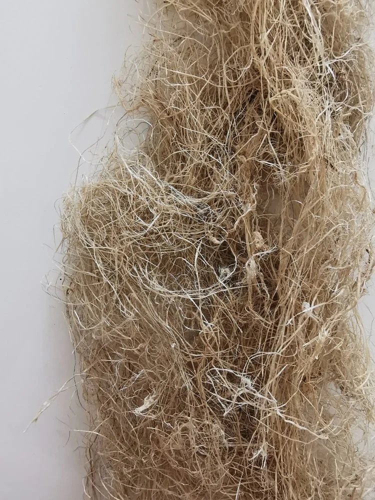 可持续丨来自蕉田的再生纤维