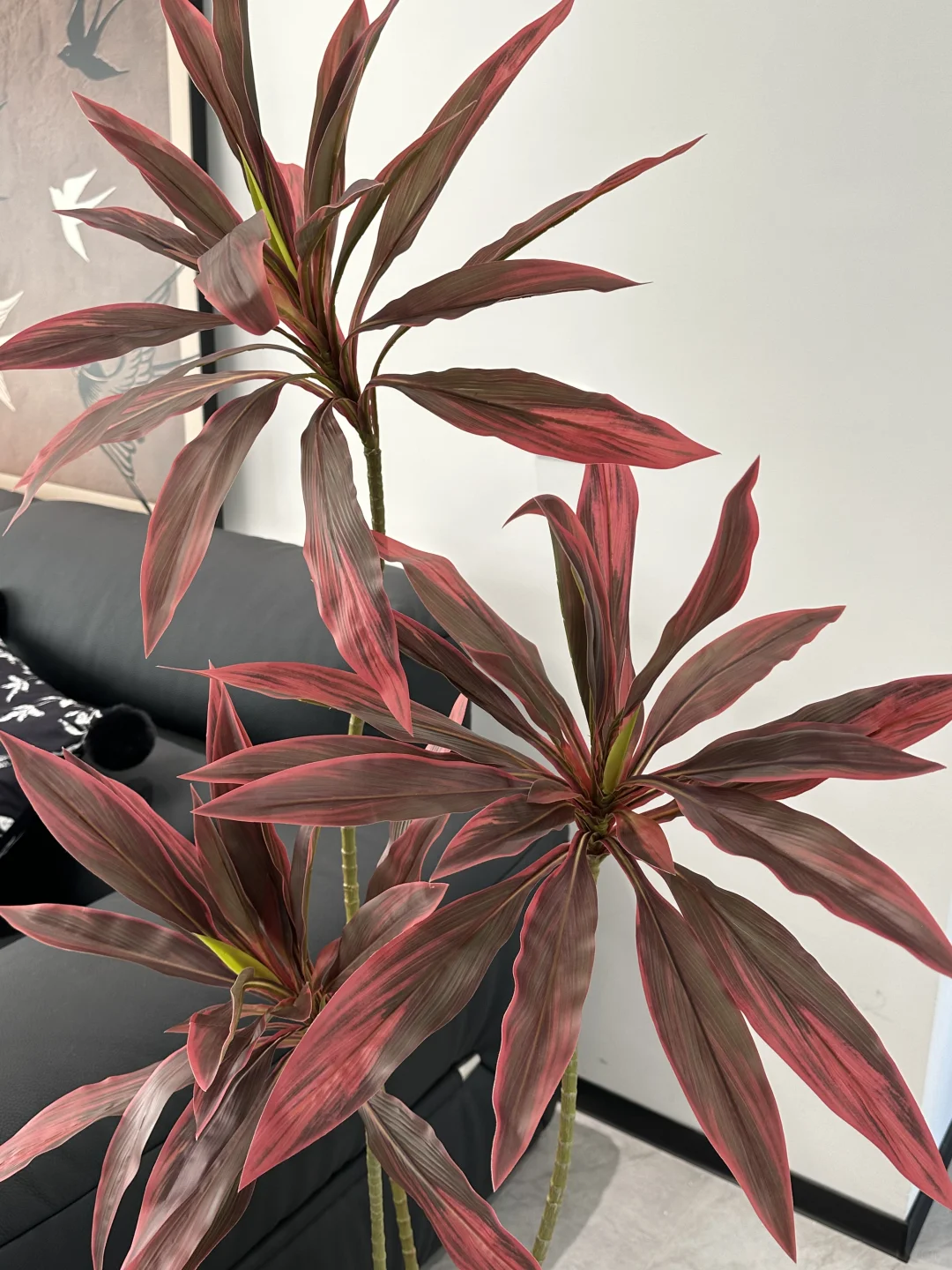 黑白灰的小家太需要它了！！