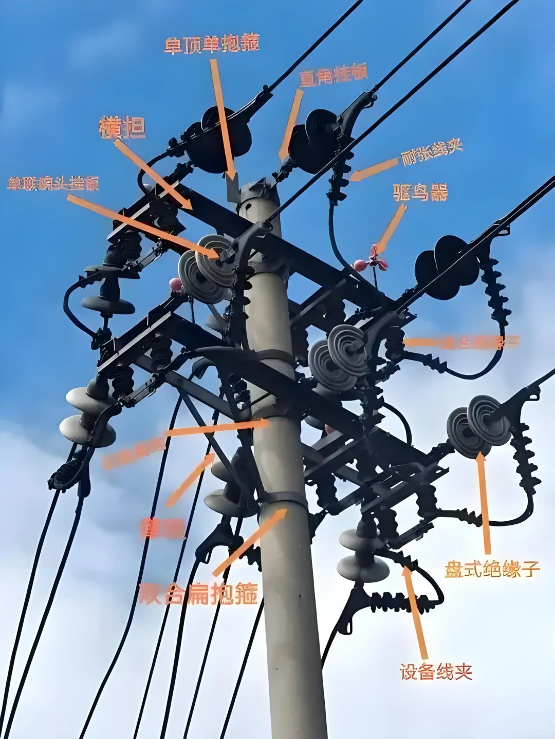 电线杆上的“电力天团”⚡一文读懂杆上高压