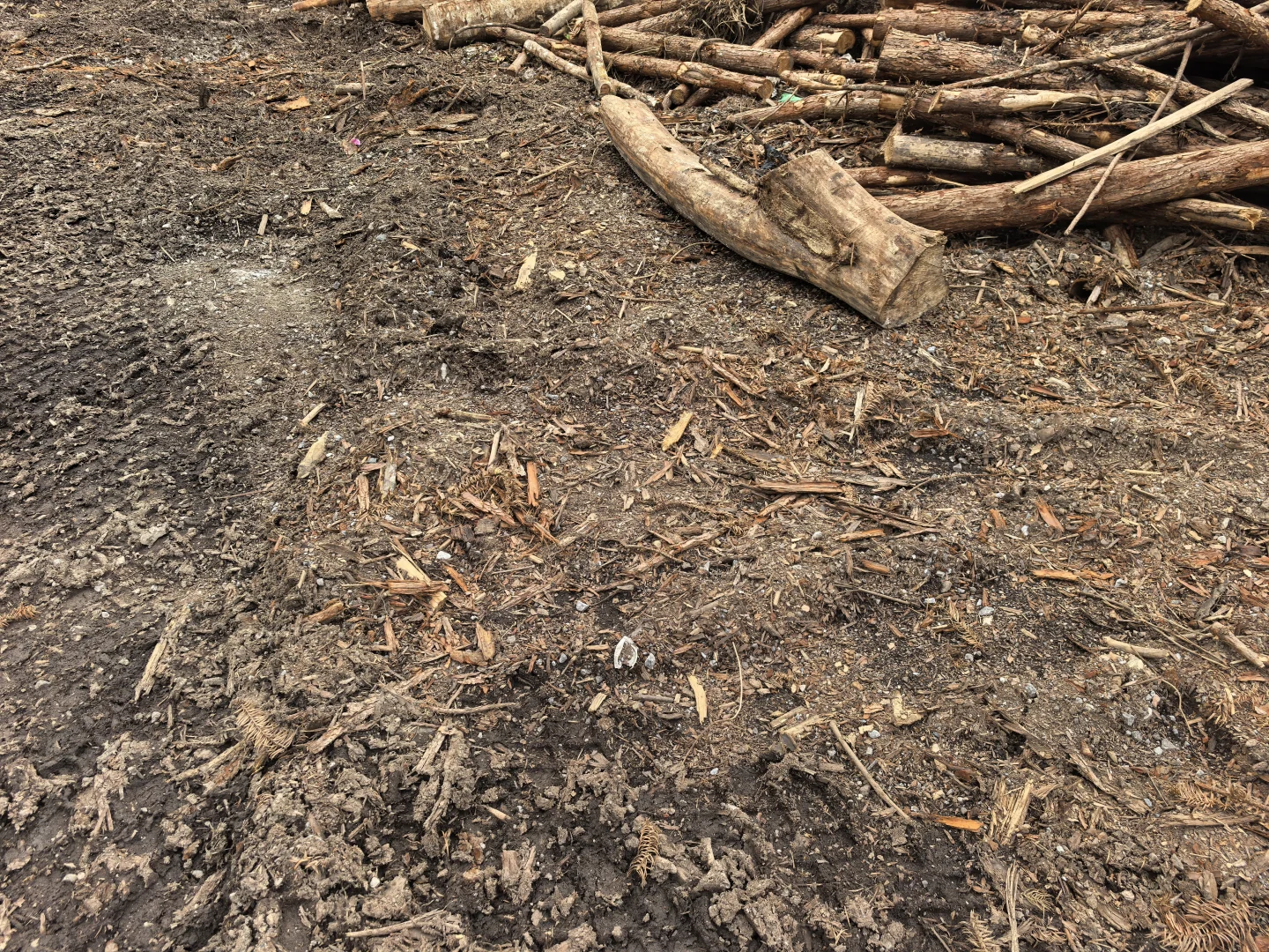 突然发现树皮才是最好的改土材料