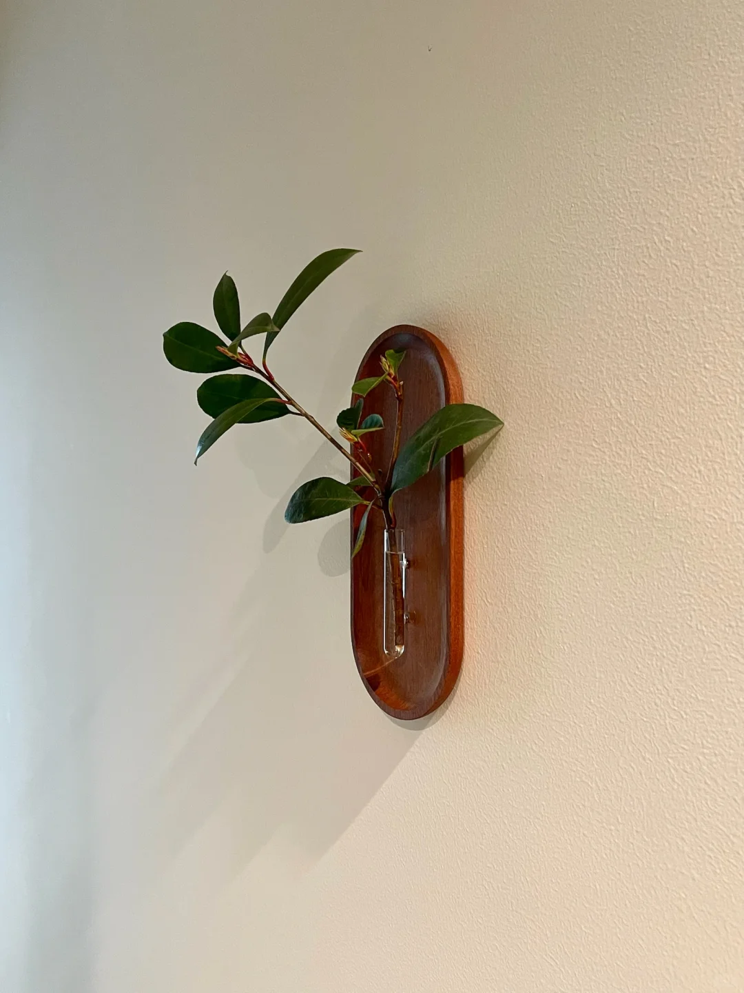 抄作业成功｜6块?的快乐