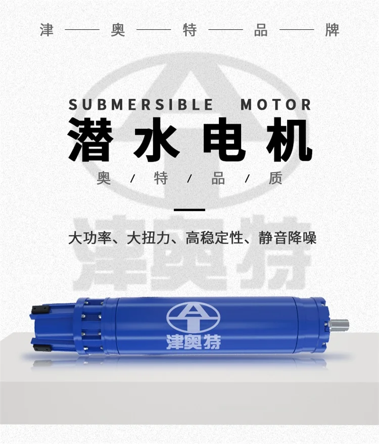 大功率 充水密封设计 YQS系列 潜水电机