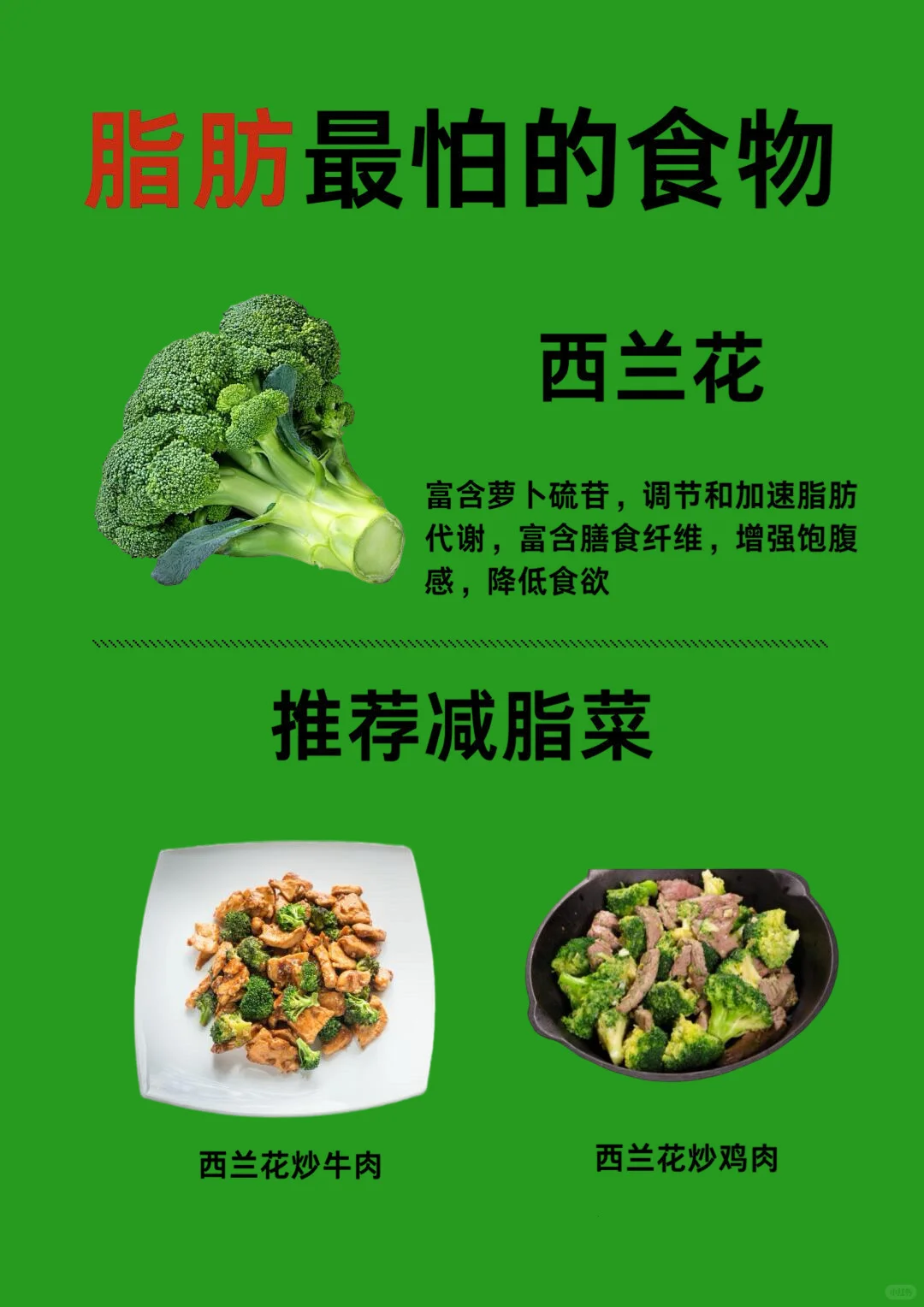 适合减脂期经常吃的食物??