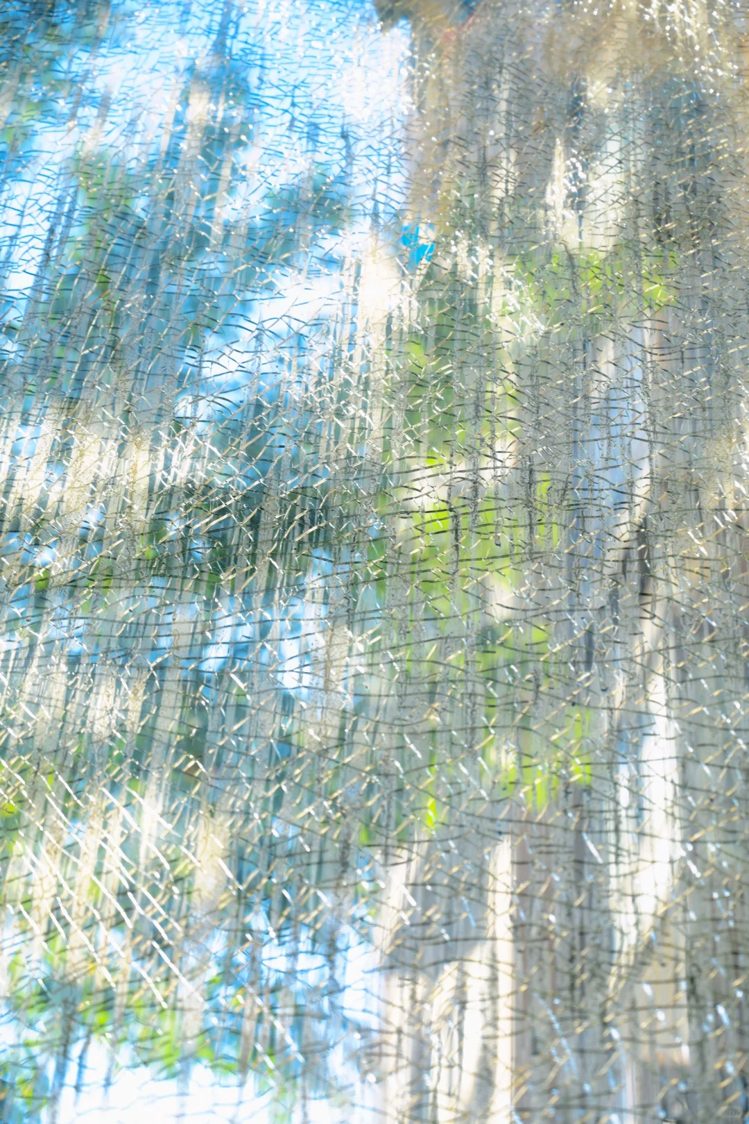 破碎但又泛着光