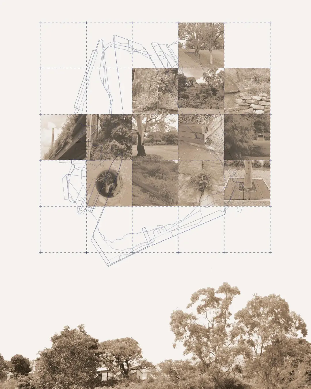 【房屋生活】植物修复土壤的研究