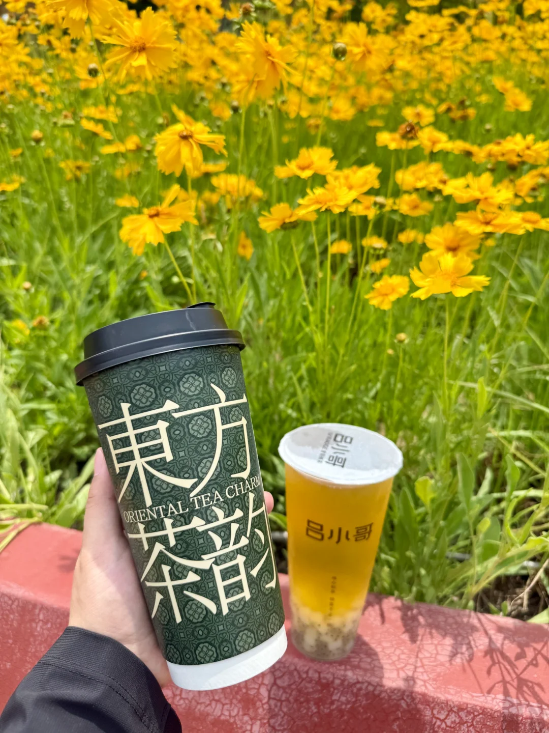 3！r！的夏日快乐水?我能喝一辈子??！！！