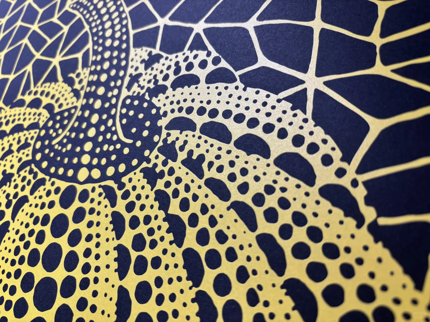 草间弥生丝网版画-永恒的迷幻诗篇?